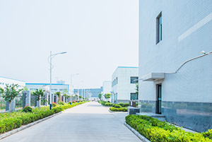 自公司建立以来，以复兴和成长我国贵金属催化剂和催化工艺为己任，已研讨、开辟出了活性炭负载，氧化物负载，无机物负载贵金属催化剂，均相催化剂，手性催化剂，公用催化剂等上百种催化剂，和一百多种催化分解/反映工艺手艺。